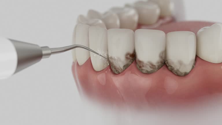 Reliable Dental contractor in Rapid City, MI by Dentist Open Now